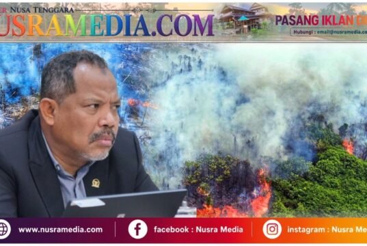 2.458 Penerbangan Terdampak Kabut Asap Karhutla, Johan Rosihan Desak Audit Efektivitas Pengendalian