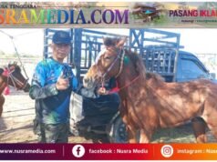 Pacuan Kuda Bupati Cup Dompu Maju 2026 Dibuka, Letkol Dahlan Dorong Kalender Kejuaraan Lintas Kabupaten