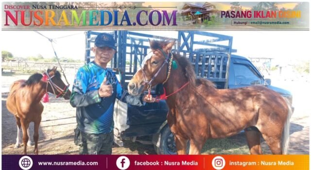 Pacuan Kuda Bupati Cup Dompu Maju 2026 Dibuka, Letkol Dahlan Dorong Kalender Kejuaraan Lintas Kabupaten